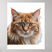 Majestic Orange Tabby Cat Portrait Poster (Vorne)
