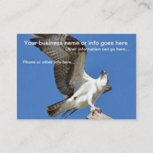 Majestic Osprey bird Business Cards Visitenkarte