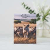 Majestic Pack von Aardwolf Stehend im Feld Postkarte (Stehend Vorderseite)
