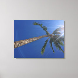 Majestic Palm Tree mit Sun Rays Canvas Print Leinwanddruck
