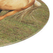 Majestic Palomino Horse - Fine Art Fotografy Schneidebrett (Ecke)