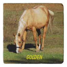 Majestic Palomino Horse - Fine Art Fotografy