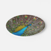 Majestic Peacock Bird mit Royal Plumage Pappteller (Schrägansicht)