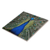 Majestic Peacock Fliese (Seite)