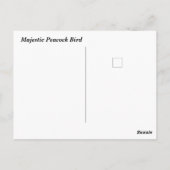 Majestic Peacock Postkarte (Rückseite)