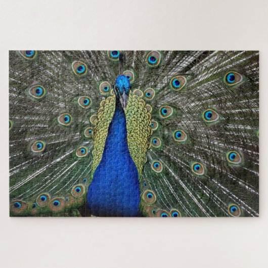 Majestic Peacock Puzzle (Horizontal)