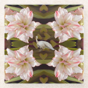 Majestic Peacock und Amaryllis Candy Cane Glasuntersetzer