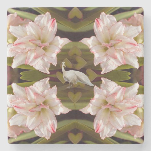Majestic Peacock und Amaryllis Candy Cane Steinuntersetzer (Vorderseite)