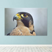 Majestic Peregrine Leinwanddruck (Insitu (Holzboden))