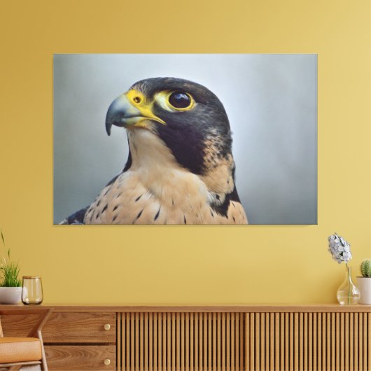 Majestic Peregrine Leinwanddruck (Insitu (Wohnzimmer))