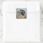 Majestic Peregrine Quadratischer Aufkleber (Tasche)