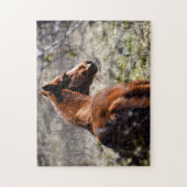 Majestic Pferd in Farm Georgia, USA Puzzle (Vertikal)