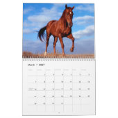 Majestic Pferde Kalender (Mär 2027)