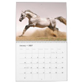 Majestic Pferde Kalender (Jan 2027)