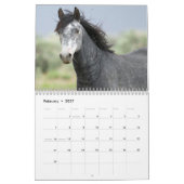 Majestic Pferde Kalender (Feb 2027)
