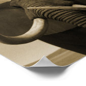 Majestic Poster (Ecke)