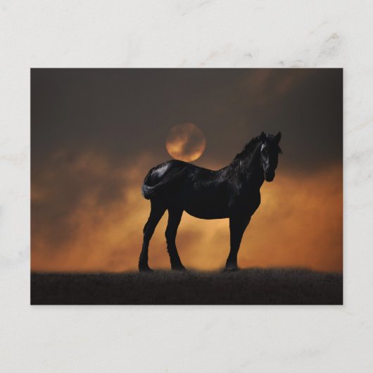 Majestic Postkarte (Vorderseite)