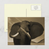 Majestic Postkarte (Vorne/Hinten)