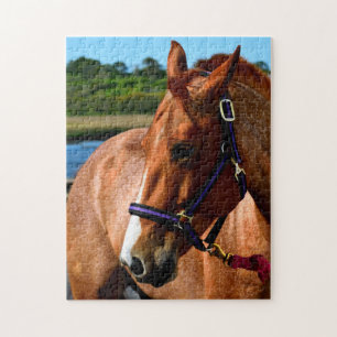 Majestic Puzzle