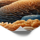 Majestic Raubfische: Haifische Tanz Poster (Ecke)