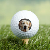 Majestic Realistisches Labrador Retriever Ölgemäld Golfball (Insitu T-Shirt)
