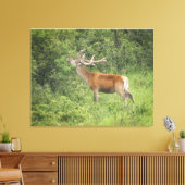 Majestic Red Deer im Wald Leinwanddruck (Insitu (Wohnzimmer))
