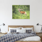 Majestic Red Deer im Wald Leinwanddruck (Insitu (Schlafzimmer))