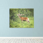 Majestic Red Deer im Wald Leinwanddruck (Insitu (Holzboden))