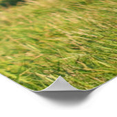 Majestic Red Deer Stag Poster (Ecke)