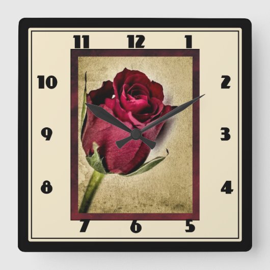 Majestic Red Roses on Brownish Background Quadratische Wanduhr (Vorderseite)