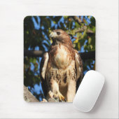 Majestic Red Tail Hawk Mousepad (Mit Mouse)