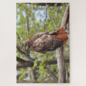 Majestic Red Tail Hawk Perched Puzzle (Vertikal)