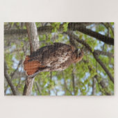 Majestic Red Tail Hawk Puzzle (Horizontal)