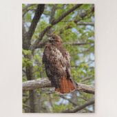 Majestic Red Tail Hawk Puzzle (Vertikal)