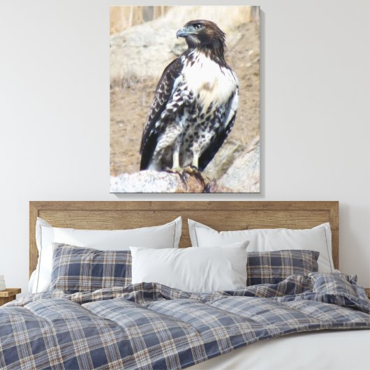 Majestic Red-Tail Hawk Wrapped Canvas Leinwanddruck (Insitu (Schlafzimmer))
