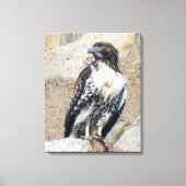 Majestic Red-Tail Hawk Wrapped Canvas Leinwanddruck (Vorderseite)