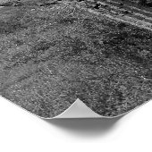 Majestic Saguaro Cactus (b/w) Poster (Ecke)