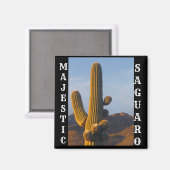 Majestic Saguaro Square Magnet (Vorderseite/Rückseite)