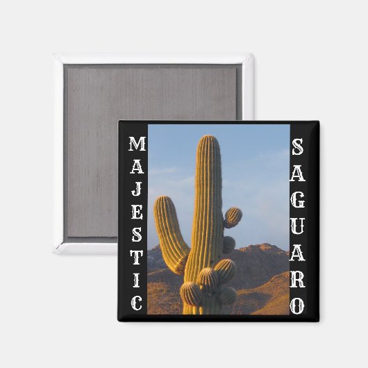 Majestic Saguaro Square Magnet (Vorderseite/Rückseite)