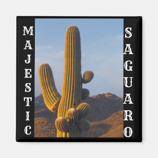 Majestic Saguaro Square Magnet (Vorne)