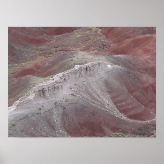 Majestic Schönheit der bemalten Wüste Poster (Vorne)