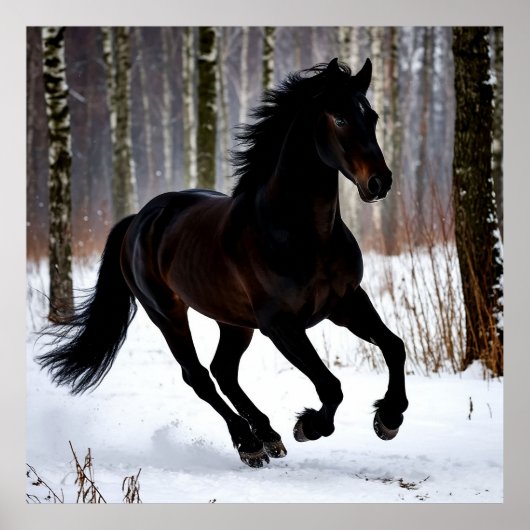 Majestic Schwarzes Pferd im Schnee Poster (Vorne)