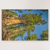 Majestic Sequoia Trees Puzzle (Horizontal)