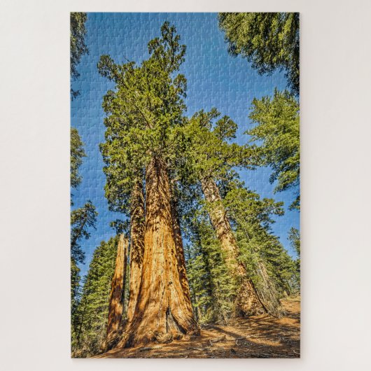 Majestic Sequoia Trees Puzzle (Vertikal)
