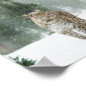 Majestic Snow Leopard im Schnee Poster (Ecke)