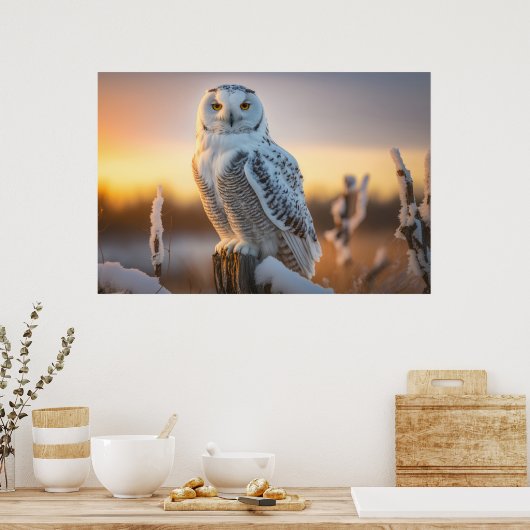 Majestic Snowy Owl auf einer Baumzweigung Poster (Küche)