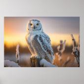 Majestic Snowy Owl auf einer Baumzweigung Poster (Vorne)