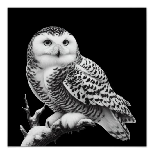 Majestic Snowy Owl durchgeknallt Poster (Vorderseite)