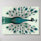 Majestic Splendor: Der Boho-Pfau Poster (Vorne)