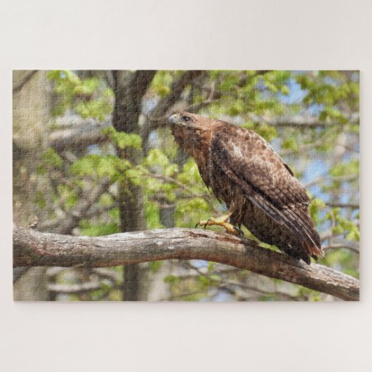 Majestic Stalking Red Tail Hawk Puzzle (Horizontal)